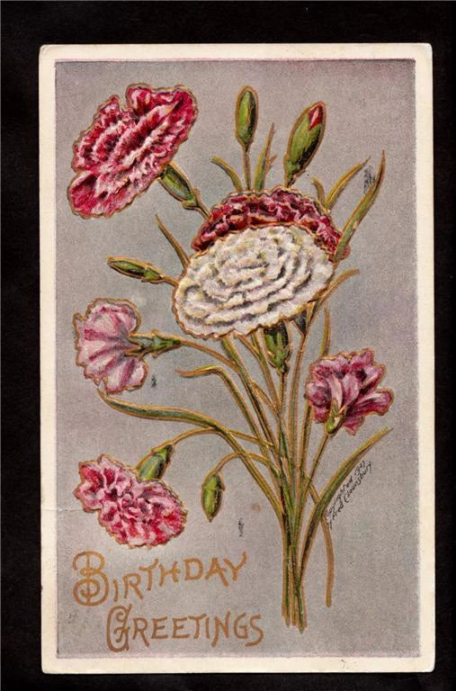 Vintage birthday greetings postcard with red carnation flower illustration and text