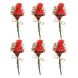 6 Pcs Mini Forget-me-not Dried Flower Bouquet Baby's Breath Boho Red Dried Flower