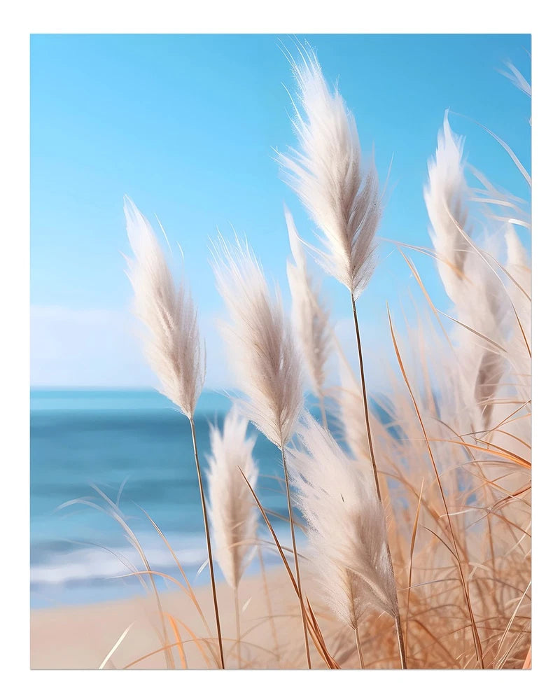 Coastal Pampas Grass Wall Art Poster Beach Nature Decor Fine Art Print Pampas Grass