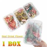 1Box Real Dried Flowers For DIY Art Craft Epoxy Resin Pendant Jewellery Making Dried Flower
