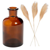 Fun Express Amber Vases with Pampas Grass Centerpiece KIt - 18 Pc Pampas Grass