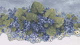Norwall Blue Hydrangea Wallpaper Border 5.25" Flower Floral Sculptured 6 Yards Hydrangea