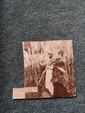 Sk136 Ephemera 1939 Picture Pampas Grass Farnham Pampas Grass