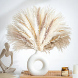 70PCS Natural Dried Pampas Grass Boho Home Decor 70 Pcs, Natural,white,beige Dried Flower