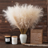 10Pcs Artificial Pampas Grass 56cm Silk Reed Bouquet Boho Decor Pampas Grass