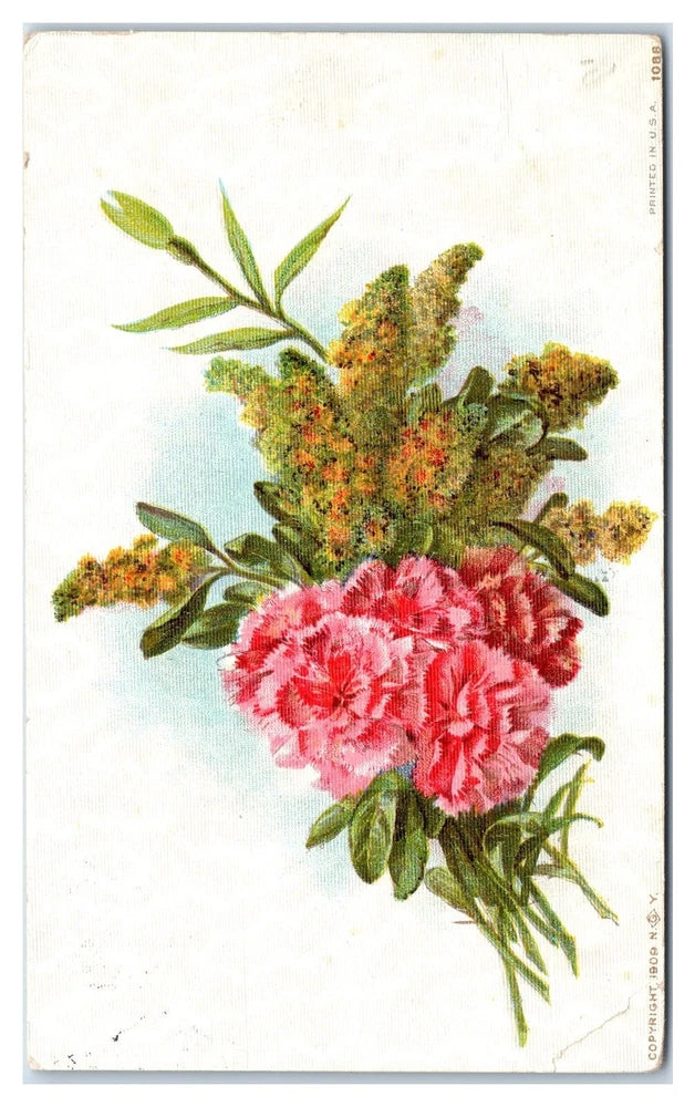 Pink Carnations c1909 Postcard Carnation