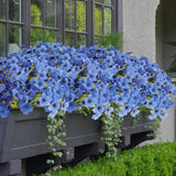 16 Bundles Blue Summer Flowers Artificial Outdoor UV Resistant Fake Flowers S... Flowering Plants