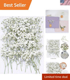 Dried Pressed Flowers for Crafts Wedding Decorations 50pcs White Baby's Breath Dried Flower