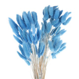 120pcs Natural Bunny Tails Dried Flowers 24" Mini Pampas Grass, Navy Blue Pampas Grass