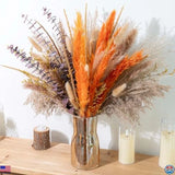 Boho Fall Decor Pampas Grass & Eucalyptus Dried Flowers Bouquet for Home Pampas Grass