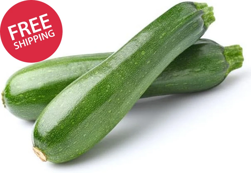 Zucchini Seeds for Planting Heirloom Non-GMO Vegetable Squash Garden Seed Garden Plants