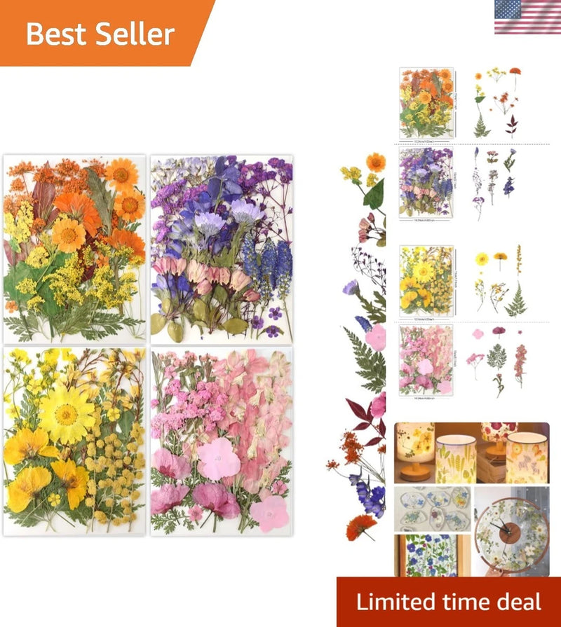 Pressed Flowers Bulk 80pcs Natural Dried Flowers for Resin Crafts Nail Art Dried Flower