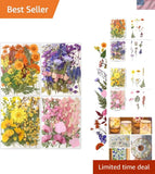 Pressed Flowers Bulk 80pcs Natural Dried Flowers for Resin Crafts Nail Art Dried Flower