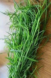 Semilla De Pipicha 0.2 Oz seeds Garden Plants