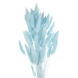 60pcs Natural Bunny Tails Dried Flowers 24" Mini Pampas Grass, Sky Blue Pampas Grass