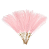 50 Pcs Faux Pampas Grass 52cm/20.5" Dried Pampas Grass, Light Pink Pampas Grass