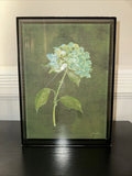 3D Framed Hydrangea Botanical Art Ð Realistic Pressed Flower Wall Decor Hydrangea