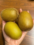 35 Seeds GOLDEN KIWI FRUIT Yellow Actinidia Chinensis Flower Vine Pampas Grass