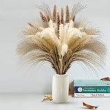 17.72" Dried White Pampas Grass 15 Pcs_Brown Dried Flower 15 Pcs_30 Pcs Natural Pampas Grass