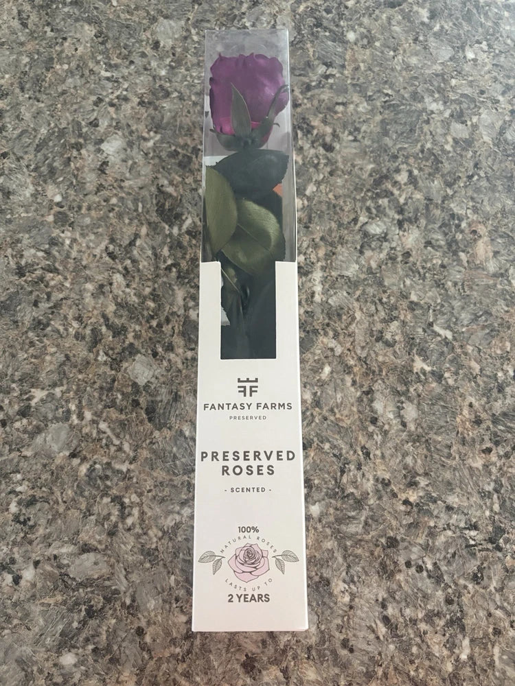 Preserved velvet rose gift box with purple rose display window