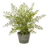 Maiden Hair faux Plant In Decorative Planter Natural Decor Green Plant