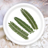 8PCS Real Pressed Dried Leaves, Natural Green Color, Floral Supply for art FSS02 Dried Flower