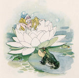 WATER LILY & PEARLY EVERLASTING Ð Wild Flower Children 1918 Chromo Bookplate Lily