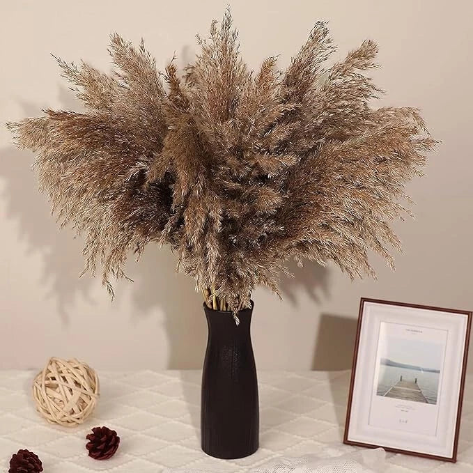 Axmon Natural Dried Pampas Grass 18"/1.5 Feet Tall Dried Pampas Grass Fluffy Ste Pampas Grass