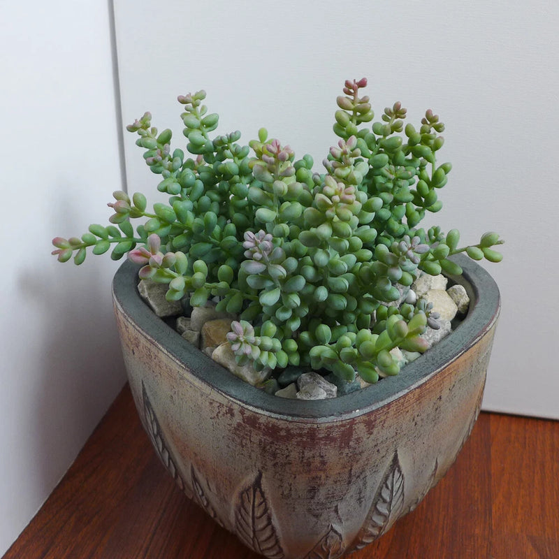 Set of 3 Small Pearl Artificial Succulent Grass Plants (#5 Gray) Flowering Plants