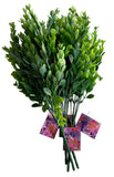 Faux Green Plants - Set of 4 Bundles - UMG Green Plant