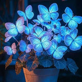 50PCS Plant seeds Hosta Plantaginea Garden Flowers Perennials Blue Hosta Rare Flowering Plants