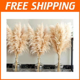 Natural 40" Pampas Grass Bouquet - 16 Stems Pampas Grass