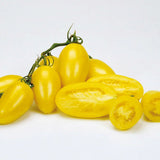 25 CREAM SAUSAGE TOMATO SEEDS HEIRLOOM FRESH HARVEST FOR GARDENS Garden Plants