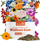 All Perennial Wildflower Seeds Bulk 1/4 Lb 100000+ Seeds 26 Variety Mix with Garden Plants