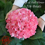 JINWOE 4Pcs 22" Hydrangea Artificial Flowers Fuchsia Centerpieces Hydrangea