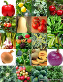ORGANIC FRUITS & VEGETABLE MIX, heirloom garden non gmo assorted seed -150 seeds Garden Plants