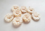 15 White Daisy Sola Wood Flower Diffuser Flowers 5 cm Dia. For Decorate Craft Sunflower