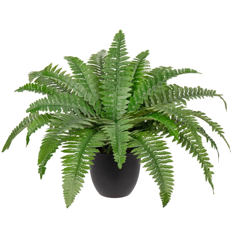Small artificial Boston fern in black pot, lush green fronds