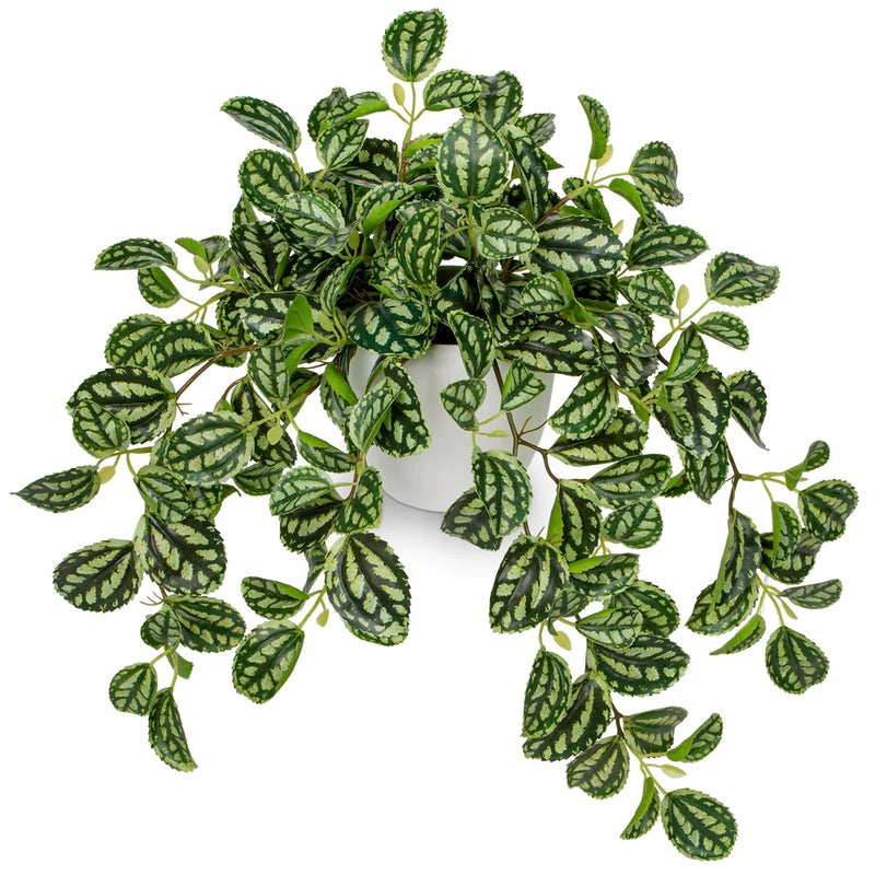 Fake Plants Indoor Artificial Potted Silk Plants Faux Watermelon Peperomia Tr... Green Plant