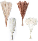 130PCS Natural Dried Pampas Grass Decor - 17