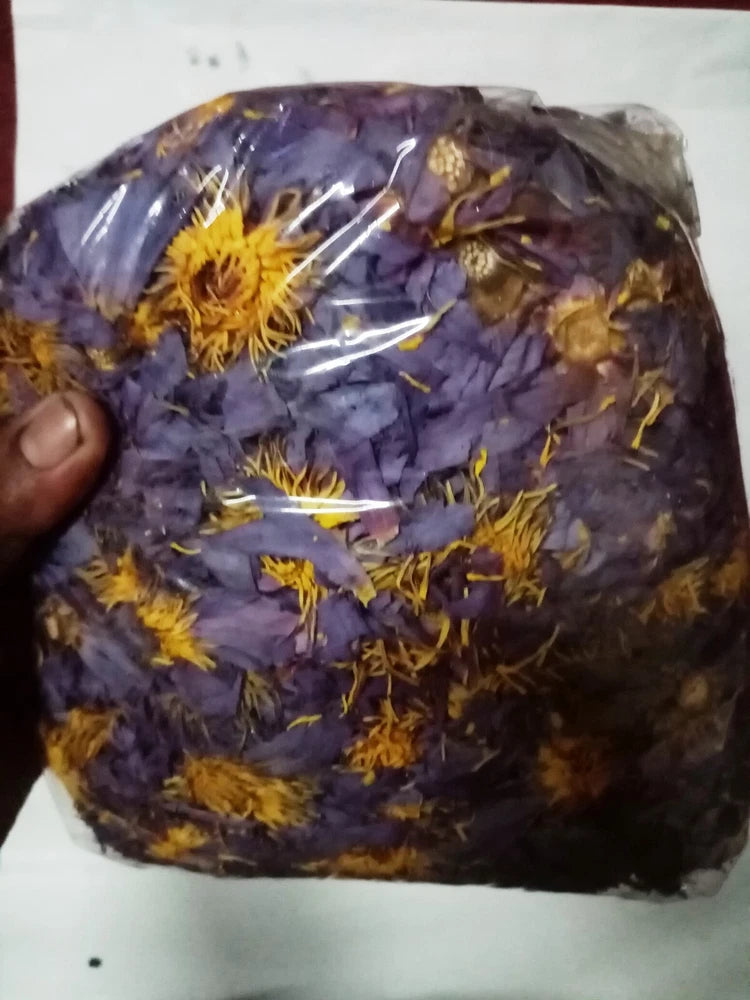 Dried blue lotus tea lily flower blend with purple petals and yellow stamens