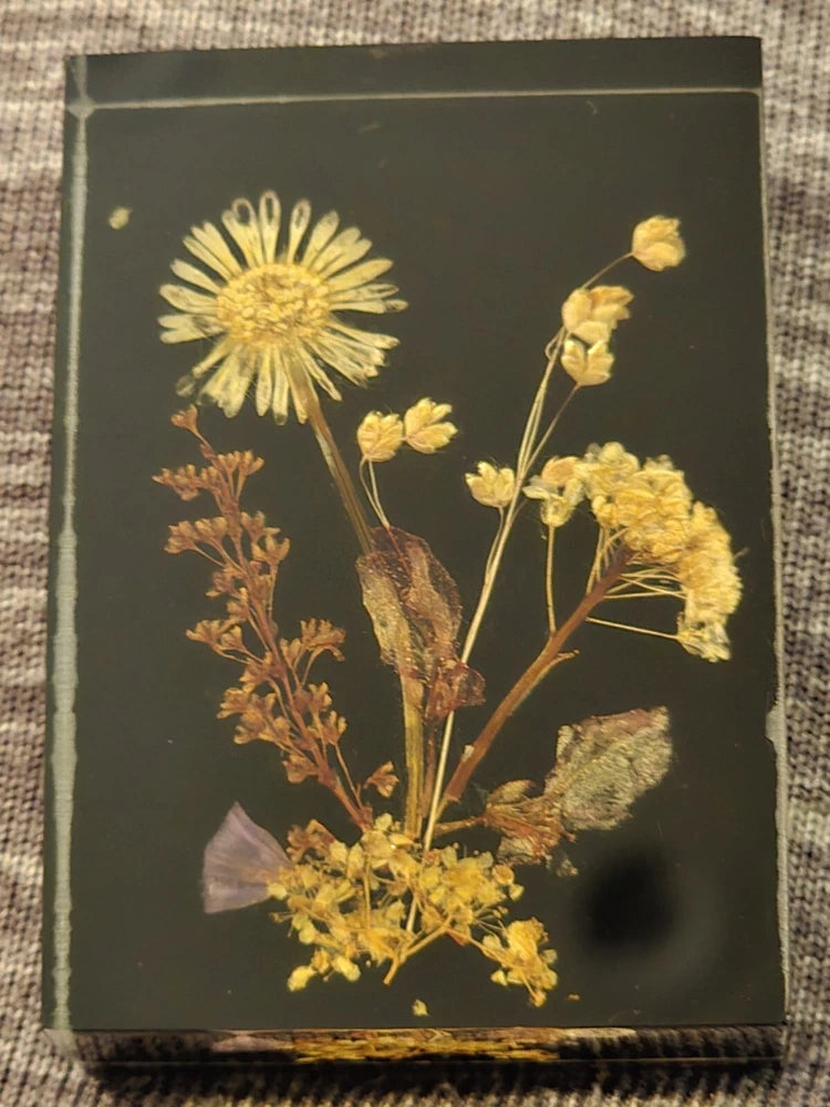 Pressed dried flower arrangement in lucite, rectangular frame with yellow blossoms and stems