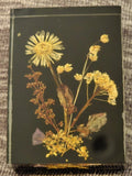 Vintage Lucite Pressed Dried Flowers DINA-Brilliant #1752 7x5cm Schwarz Germany Dried Flower