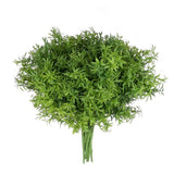 Asparagus Artificial Plants Plastic Greenery, Bulk 10pcs (Dark Green) Green Plant