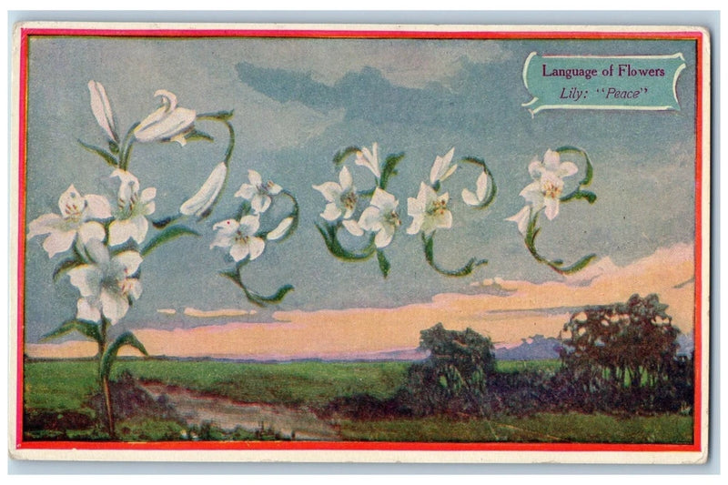 Antique lily postcard with white flower illustration and 'Language of Flowers' 'Peace' text