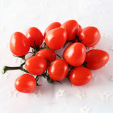 Premium Lifelike Tomato Vine with Hanging Cherries 19cm Fruit Vegetable Green Plant