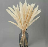 iTrendE 60 pcs White Stem Natural Dried Pampas Grass 45cm for Home Decor Wedding Pampas Grass