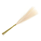 15Pcs Faux Pampas Grass,21"/55cm Fake Pampas Grass Decor,Light Beige Pampas Grass