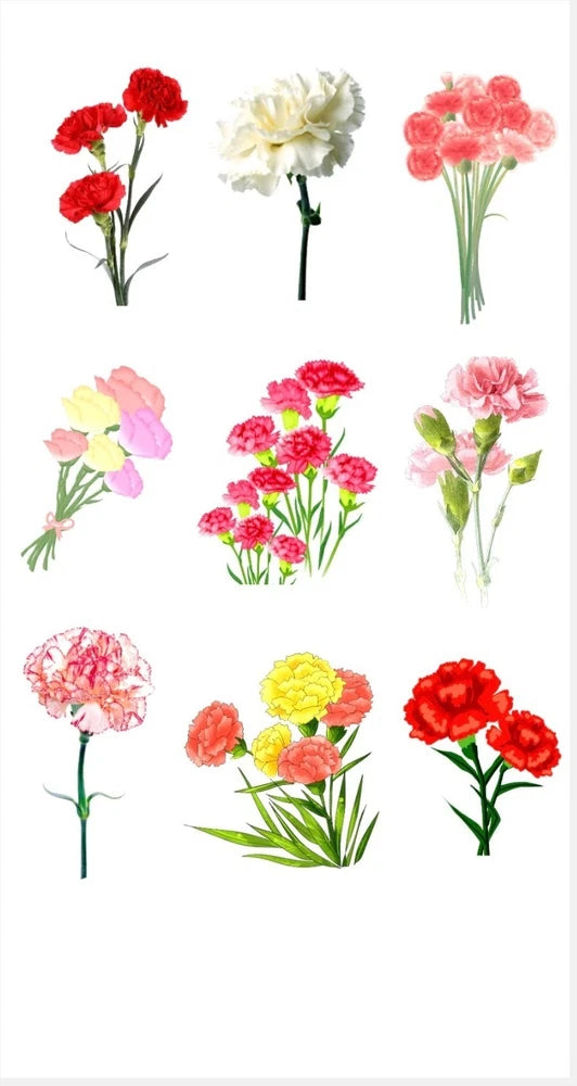 Vinyl carnation flower sticker sheet with mixed red, pink, white, and yellow blooms.