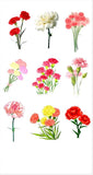 Carnation Flower Sticker Sheet Red Pink White Floral Bouquet Botanical Vinyl Carnation